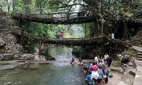 Growing Dreams: How a Meghalaya Man’s Childhood Game Shaped a Life of Living Bridges