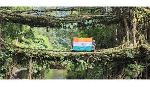 India Nominates Meghalaya’s Living Root Bridges for UNESCO World Heritage Recognition