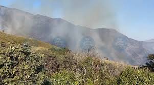 Manipur wildfire at Dzukou–Mt Esii burns into second day, destroying vast forest tracts